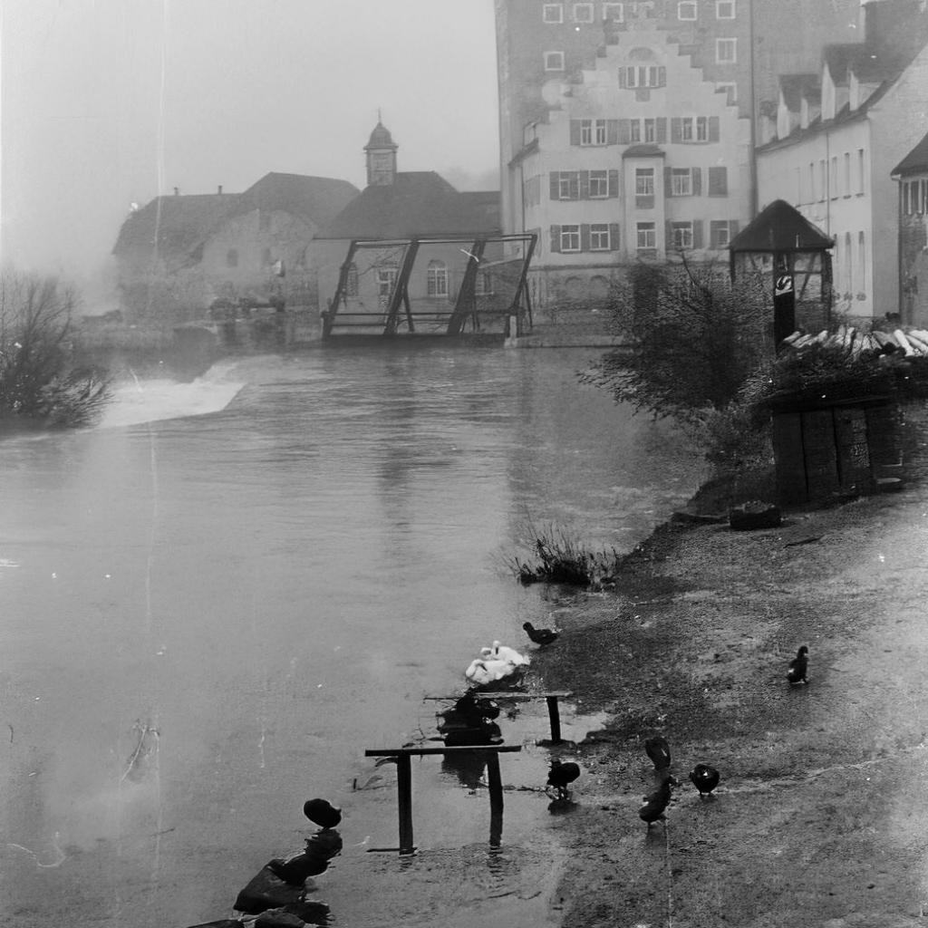 1955: Hochwasser am Neckar im Januar (Quelle: Zvonko Zebic)