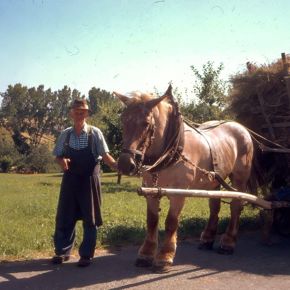 1975: Gottlob Nagel und sein Pferd Fritz (Quelle: Georg Becker)