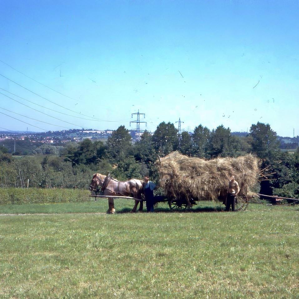 1975: Gottlob Nagel und sein Pferd Fritz (Quelle: Georg Becker)
