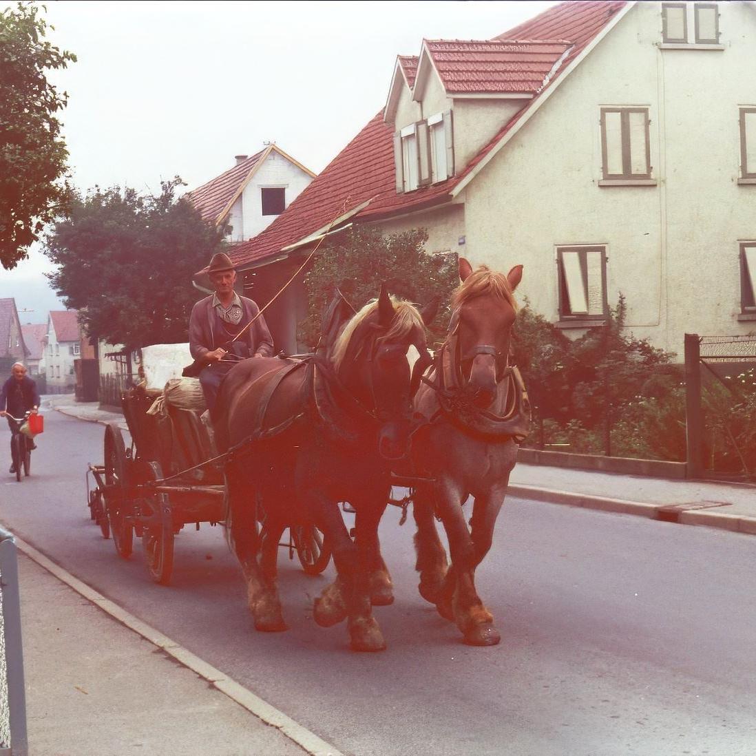 1981: Gottlob Nagel mit seinem Pferd Fritz, dahinter Herr Kimmerle mit dem Fahrrad (Quelle: Lore Kimmerle)