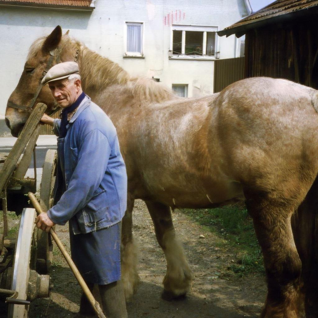 ????: Gottlob Nagel mit seinem Pferd Fritz (Quelle: Waltraud Hoyer)