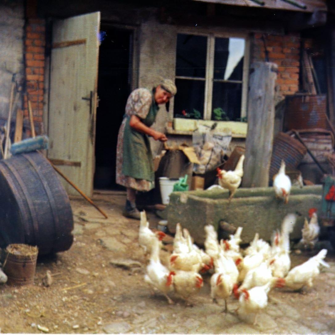 ????: Luise Kurz am Brunnen vor ihrer Obstbrennerei in der Neckartenlinger Straße 19 umgeben von ihren Hühnern (Quelle: Martha Kern)