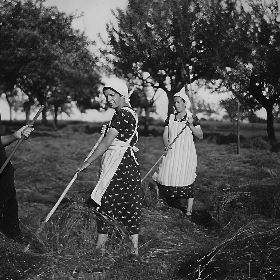 1941: Heuernte Fam. Knecht (Marie, Anna und Liesel) (Quelle: Manfred Knecht)
