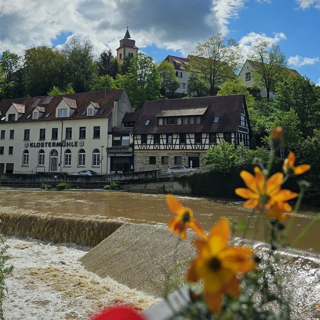 Blick von der Neckarbrücke auf die Mühle am 18.5.2024 (Quelle: Sascha Felden)